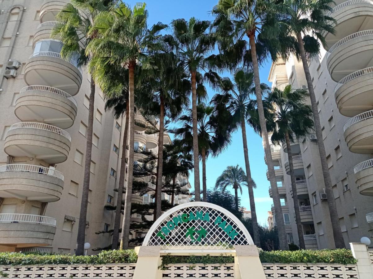 Tropicana Park Solo Familias Serviplaya Gandía Exterior foto